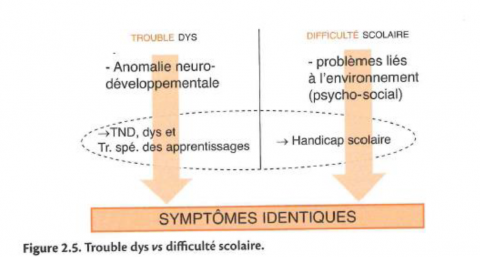 schéma indiquant que troubles dys et difficulté scolaire amènent à des symptômes identiques.