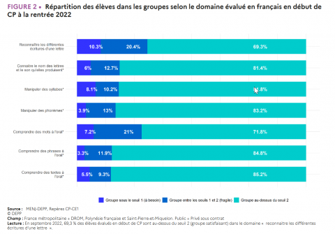 graphique représentant la répartition des élèves dans les groupes selon le domaine évalué en début de CP à la rentrée 2022.